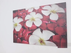 Anal, Loiroa, Morena, Jato de porra, Gang bang  sexo grupal suruba, Masturbação, Orgia, Tetas