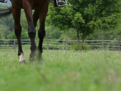 Sophie Lynx - Young Horse Riders - Blonde