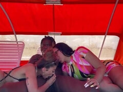 엉덩이, 해변, 미인, 큰 음경, 흑인, 오랄섹스, 지방, 잡년