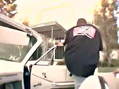 BBW Bootylicious collection 5