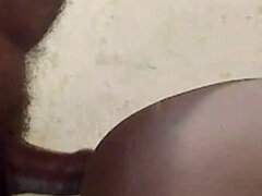 Anaali, Perseestä suuhun, Suihinotto, Spermaa suussa, Kotitekoinen, Latinankieli, Vanhempi, Meksikolainen