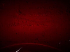 Velké péro, Velké kozy, Kuřba, Brunetka, Na pejska, Hardcore, Hd, Tetování