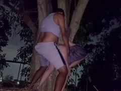 Brasilien, Öffentlich