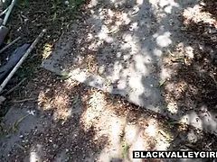 Culo grosso, Nero, Pompino, Da dietro, Di colore, Interrazziale, Figa, Tette