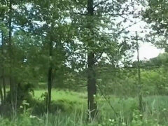 Amatööri, Suihinotto, Ruskeahiuksinen, Auto, Italialainen, Ulkona, Parinvaihto, Vuosikerta