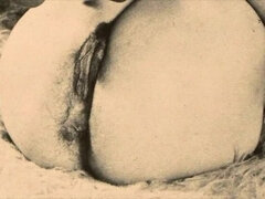 Nonnina, Capellona, Matura, Mamma che vorrei scoparmi, Tette naturali, Figa, D'annata