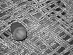 Corridas, Fetiche, Casero, Indio, Masturbación, Solo