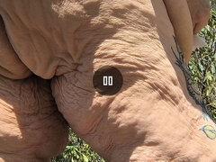 Amador amadora, Norte americano a, Casal, Falar palavrão, Fêmea, Masturbação, Maduroa