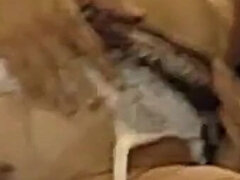 Sperma v puse, Honění, Italské, Milf žcbp, Punčochy, Zastaralé