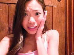 Gesztenyebarna, Kutya póz, Csoport, Kézimunka, Kőkemény, Fajok közötti, Vékony, Tini