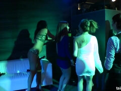 Kotě, Šílené, Erotika, Honění, Lesbické, Výprask, Orgie, Kozičky