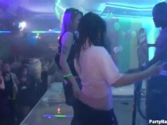 Rumpe, Kukk suging, Brunette, Gruppesex, Hardcore, Orgie, Fest, Fitte