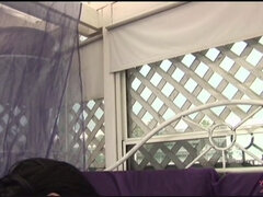 Anal, Stor stjärt, Svart, Lesbisk, Piercing, Fitta, Tatuering, Våt