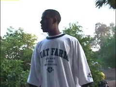 Popó, Tekintélyes didik, Fekete, Cumizás, Mélytorok, Kutya póz, Ébenfekete, Lovaglás