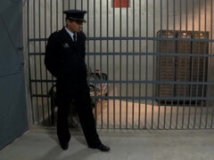 Stora tuttar, Avsugning, Bystig, Fängelse, Naturliga tuttar, Porrstjärnor, Trekant, Tuttar