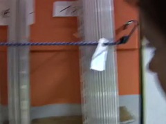 Amatéři, Kotě, Velké péro, Brunetka, Venku, Různé pohledy, Na veřejnosti, Sprcha