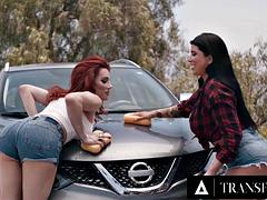 큰 가슴, 오랄섹스, 자동차, 사정 샷, 하드코어, 빨간 머리, 성전환자