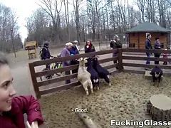 Kuřba, Vysokoškoláci, Striekanie semena, Na psíka, Hd, Jačania, Vyholené, Teenka