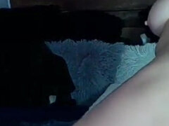 Lf Live 1252025 Cum Show