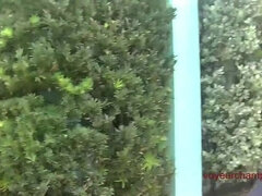 Velké kozy, Exhibicionisti, Manžel, Milf žcbp, Na veřejnosti, Voyeur, Vlhká, Manželka