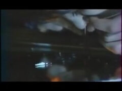 Evropské, Vlasaté, Zastaralé