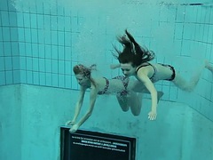 Lieveling, Grote mammen, Bruinharig, Fetisj, Lesbisch, Openbaar, Tatoeage, Tieten likken