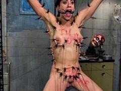 Amatoriale, Grande cazzo, Pompino, Hardcore, Latina, Lesbica, Succhiando, Tette