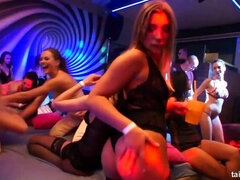 Barbara, Cayla, & Daphne's Lingerie Pajama Party: Lesbian Fun, Part 2 - Camera 2