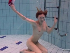 Bruinharig, Europees, Buiten, Biljart, Kut duiken, Softcore pornografie, Onderwater