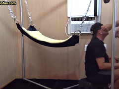 Amatéři, Anál, Kuřba, Gay, Honění, Dospělé