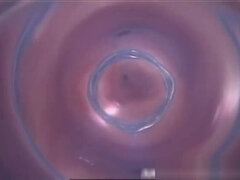 Межрасовый секс, Японки, Молоденькие