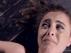 본디지 훈육 사디즘 마소치슴, 본디지, 지배, 핑거링, 모욕, 처벌