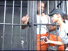 Velký zadek, Velké péro, Černé, Latinské, Kozičky