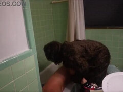 Азиатки, Большая жопа, Минет, Собачьи, Черненькие, Жесткий секс, Развязные, Втроем