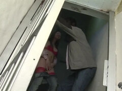 Anaali, Ruskeahiuksinen, Sekarotuinen, Alusvaatteet, Transu