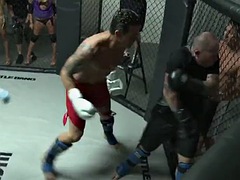 Anal, Store pupper, Brunette, Hardcore, Pornostjerner, Ludder, Pupper