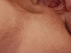 Amateur, Americano, Transexual, Solo