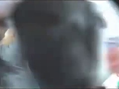 Amateur, Lingerie, De plein air, Culottes ou slips, Fête, Public, Sous la jupe, Voyeur