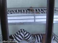 Dylan Ryan Gives Titjob Sweet Touching Bud