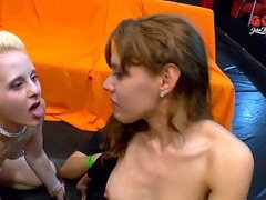 오랄섹스, 동시 사정, 입에 사정, 사정 샷, 얼굴에, 갱뱅, 키스