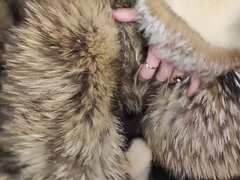 Amatőr, Hatalmas hátsó, Tekintélyes didik, Gesztenyebarna, Női, Érett feleség, Pirszing, Harisnya