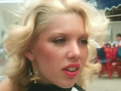 Blondi, Eurooppalainen, Ranskalainen, Karvainen, Hd, Kolmen kimppa, Vuosikerta