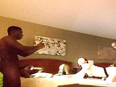 In den arsch, Grosser schwanz, Schwarz, Blasen, Gruppe, Handjob