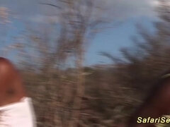 Afrikansk, Amatør, Stor kukk, Ansiktssperm, Gruppe, Hardcore, Hjemmelaget, Orgie