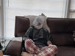 Américain, Bondage domination sadisme masochisme, Homosexuelle