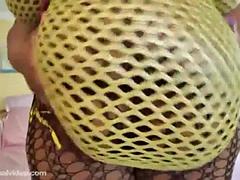 Testes gyönyörű hölgy, Tekintélyes didik, Fekete, Cumizás, Ébenfekete, Kőkemény, Fajok közötti, Begyek