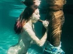 Zadok, Kúpeľňa, Čierne, Na psíka, Honění, Medzirasové, Teenka, Kozičky