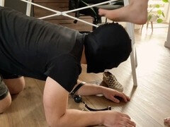 Bondage sadomaso, Dominazione, Piedi, Dominazione femminile, Umiliazione, Scarpe, Schiavo, Calzini