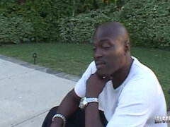 비키니, 가슴이 큰, 깊은목구멍, 밀프, 풀, 문신, 쓰리섬, 젖가슴