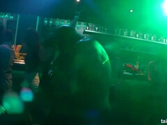 Blondi, Ruskeahiuksinen, Nukke, Ryhmä, Hd, Lesbo, Äiti jota haluaisin panna, Sukkahousu